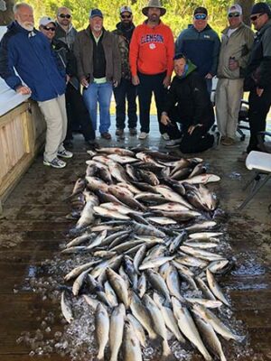 corporate-fish-catch corporate-fish-catch