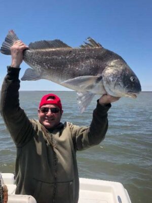 fish-new-orleans-p8txbl31a7r83bhlonogwywngbtpbkc5uv8stmvtzk fish-new-orleans-p8txbl31a7r83bhlonogwywngbtpbkc5uv8stmvtzk