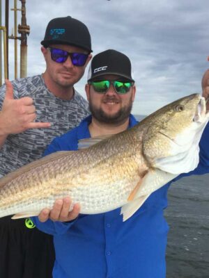 fish-shrimp-bait fish-shrimp-bait