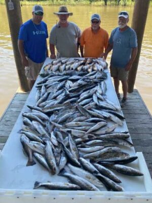 fishing-in-new-orleans-p8txbl31a7r83bhlonogwywngbtpbkc5uv8stmvtzk fishing-in-new-orleans-p8txbl31a7r83bhlonogwywngbtpbkc5uv8stmvtzk