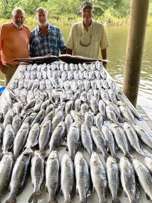 friends-fish-boatload-success friends-fish-boatload-success