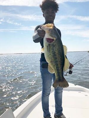 louisiana-bass-bayou louisiana-bass-bayou