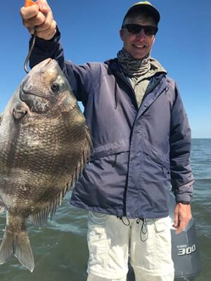 sheephead-fish-new-orleans sheephead-fish-new-orleans