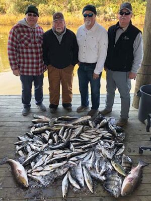 st-bernard-fish-catch-friends st-bernard-fish-catch-friends