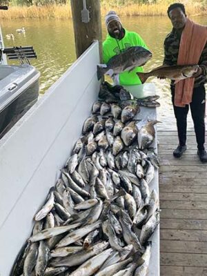 table-full-of-fish table-full-of-fish