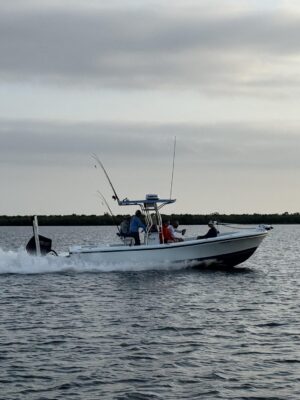 IMG_1548 (Copy) IMG_1548 (Copy)